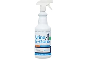KINZUA ENVIRONMENTAL Urine B-Gone, Professional Enzyme Odor Eliminator & Pet Stain Remover, Human, Cat & Dog Urine Cleaner, Effective on Laundry, Carpets & More | Citrus Scent - 947ml (Pack of 1)