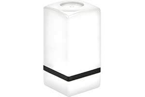 DILWE Gitarren Akkord Stempel für Saiteninstrumente, 6 x 3 cm, Gitarre Ukulele Saiteninstrument Zubehör für Anfänger