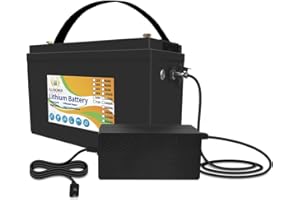 FLLYROWER Batería Lifepo4 12 V 100 ah con celdas grado A y BMS perfecto tiempo de ciclo bajo hasta 10000 para motor trolling RV Camping Solar soporta conexión en serie y en paralelo