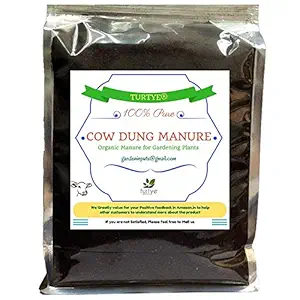 Turtye Coco Peat 10 Kgs for Gardening Plants