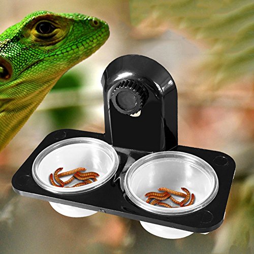 Double Grid Reptiles Food Water Feeding Bowl Insects Spider