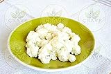 Instrucciones y recetas incluidas (idioma español no garantizado).