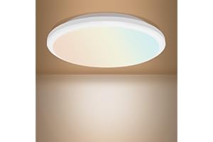 Sweier Plafonnier LED Dimmable avec Télécommande, 24W Plafonnier Salon, IP54 Salle de Bain Étanche, 2800LM, Lampe Plafond Ronde pour Cuisine Chambre Couloir Cave Garage Balcon 30cm
