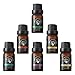 Produktbild Duftöl Top 6 Ätherische Öle, Milota 100% natürlich Aromatherapie Öl Bio Geschenkset Duftöl Für Duftlampe, Diffuser und Kosmetik - 10ml (Lavendel, Teebaum, Eukalyptus, Zitronengras, Orange, Pfefferminz (Massage Oil)