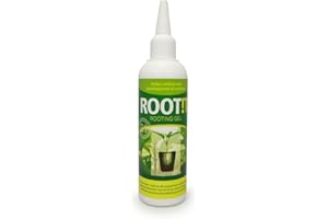 ROOT!T A