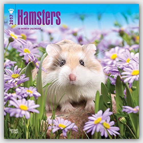 Download Hamsters - Hamster 2017-18-Monatskalender: Original BrownTrout-Kalender [Mehrsprachig] [Kalender] (Wall-Kalender)