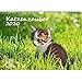 Produktbild Katzenzauber DIN A3 Kalender 2020 Katzen und Katzenbabys und zusätzlich 1 Grußkarte - Seelenzauber