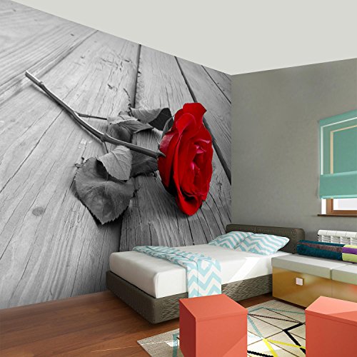 Fototapete Rose 352 x 250 cm – Vliestapete – Wandtapete – Vlies Phototapete – Wand – Wandbilder XXL – !!! 100% MADE IN GERMANY !!! Runa Tapete 9060011a - 5