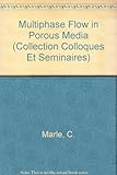 Image de Multiphase Flow In Porous Média