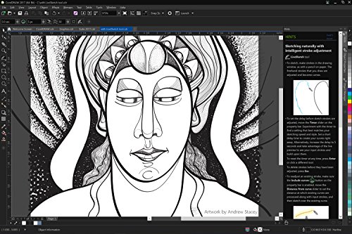 Corel DRAW Graphics Suite 2017 - Software De Dise  o Gr  fico  Upgrade  Ingles