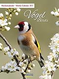 Vögel 2017: Foto-Wochenkalender by