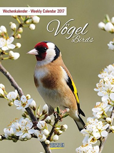 Vögel 2017: Foto-Wochenkalender