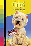 Chips le chiot perdu