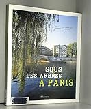 Sous les arbres à Paris