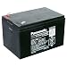 Produktbild Akku-King Bleiakku Panasonic Industrial LC-RA1212PG1 für USV Anlagen, Notbeleuchtung, Alarmanlagen - VDS-zugelassen - PB 12V 12000mAh