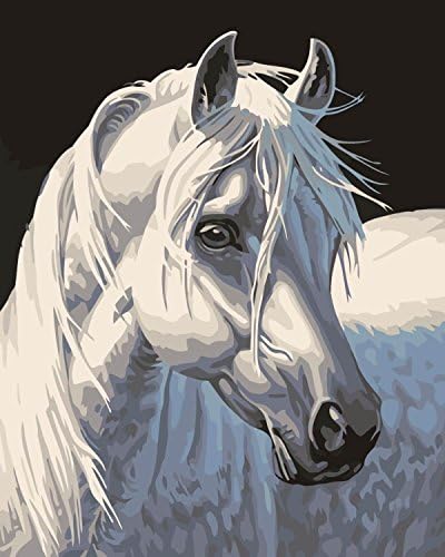 TERMV DIY Canvas Oil Painting Kit Frameless Paint Number Canvas Unisexs Artwork Hand Oil Painting,M-40*50Cm