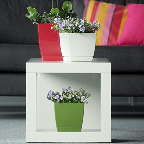 Blumentopf viereckig Coubi mit Untersetzer 12 cm weiß glänzend Blumentöpfe Pflanzen - 4
