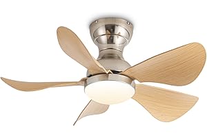 ycwdcz Ø73cm Deckenventilator mit Beleuchtung und Fernbedienung Leise LED 3 CCT Wählen Sie Reversibel Lampe mit Ventilator 5 Flügel 6 Geschwindigkeiten DC Motor für Schlafzimmer Küche