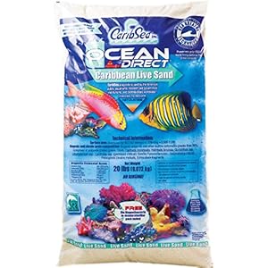 Carib Sea Ocean Direct Substrate