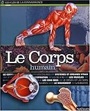 Le corps humain