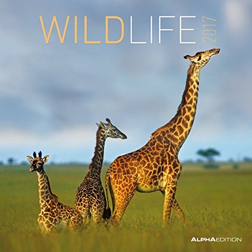 Wildlife 2017 - Broschürenkalender (30 x 60 geöffnet) - Tierkalender - Wandplaner