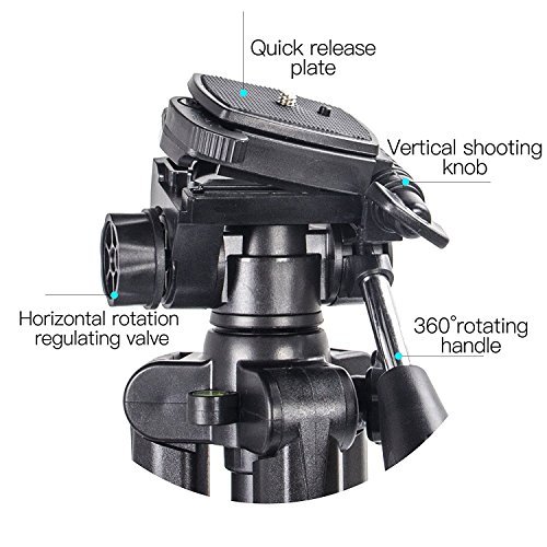Comprar Trípode ligero - Trípode compacto para cámara de 140cm con
cabezal panorámico de 360 grados y una placa de liberación rápida para
SLR Canon Digital EOS Nikon Sony Samsung Panasonic（Rojo） Especial