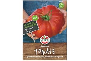 Sperli Fleisch-Tomatensamen Gigantomo, F1 83529 - Gemüsesamen für eine gigantische Fleisch-Tomate mit einem Gewicht von bis zu 1 kg - Gemüsepflanzen, Saatgut