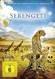 Serengeti - Tom Synnatzschke