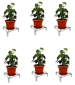Xllent Flower Pot Stand, Pot Stand, Plant Stand Heavy Duty Metal for Plants in Balcony, Home Decor, Indoor and Outdoor Use (Square) Black Pack of 6