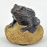 Fiesta Studios Hermoso diseño de Bronce Figura de Rana Sobre una Piedra - Altura 6 cm