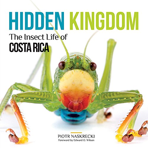 Télécharger Hidden Kingdom: The Insect Life of Costa Rica livre En ligne