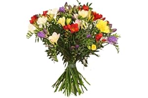 Flora Trans- Blumenstrauß mit frischen Freesien -Blütenduft - Geburtstag - Lieferung innerhalb 1-2 Werktage