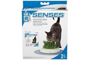 Catit Recharge Jardin d'Herbe à Chat