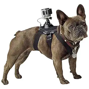 GoPro Fetch Dog Harness Mount for Camera