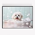 maltese dog bath bathroom Print Picture Poster cute A4 UNFRAMED wall art Home decor Decorating gift