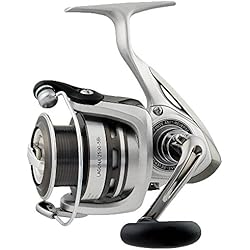 Daiwa Laguna E 3000A 10414-301 - Carrete (220/0,28, 280 g)