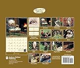 Image de Cats We Love 2017 Calendar