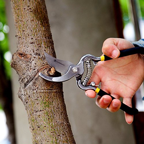 PROFI ASTSCHERE – 20 cm Länge, aus Schmiedestahl | Ergonomischer Griff | Gartenschere stark genug dickere Äste an Bäumen, Rosen, Sträucher usw. zuzuschneiden, vielseitige Grünschere für drinnen und draußen - 7