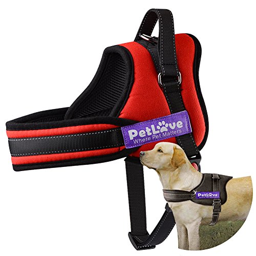 Pet Love Harnais pour Chien avec Laisse Douce rembourrée sans Traction