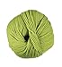 Produktbild DMC Wolliges Garn Farbe 081, hellgrün