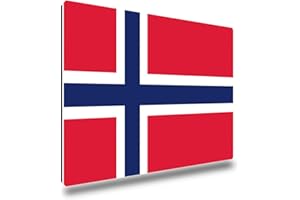 ‎TRIOSK TRIOSK Kühlschrankmagnete Länderflaggen Magnet Flagge Norwegen Länder Reise Souvenir Geschenk für Reiselustige Frauen Männer Weltenbummler Kühlschrank stark eckig groß 85x55 mm