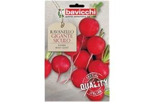 Bavicchi buste semi orto plus (Ravanello gigante siculo)
