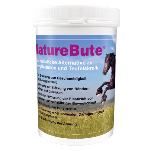 Preisvergleich Produktbild Pegasus Health NatureBute 500 g, 1er Pack (1 x 500 g)