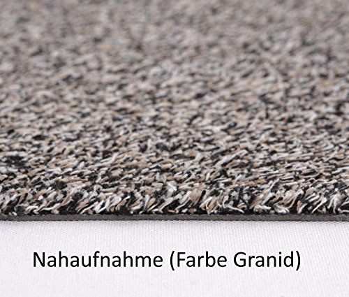 Fußmatte Größe Farbe wählbar, Türvorleger Bodenmatte Schmutzfangmatte Fußabtreter (60 x 100 cm Graphit) - 2