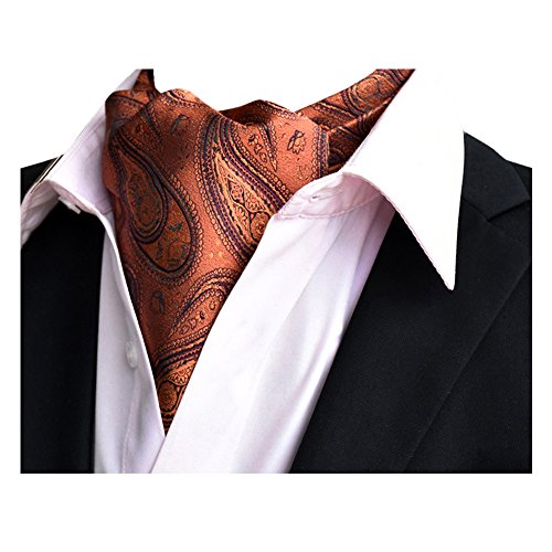 YCHENG Corbatas Bufandas de Hombre Jacquard Ascot Paisley Pañuelo en diferentes colores J20