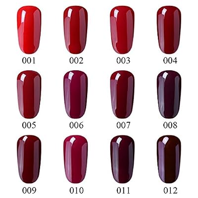 FairyGlo Vernis Semi-Permanent Ensembles Vernis à Ongles Gel UV ou LED de Fairyglo Soak Off Kit en Vin Rouge 12PCS x 10ML
