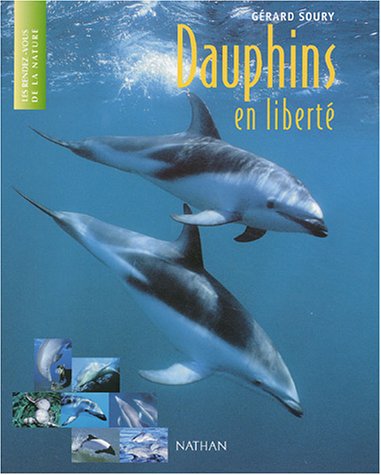 Dauphins en liberté