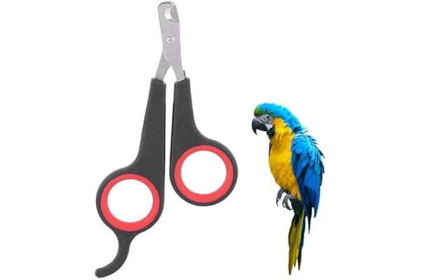 Oiseau coupe-ongles outil de toilettage ciseaux à ongles tondeuse animal de compagnie oiseau perroquet petits animaux accessoire pour petits oiseaux perroquet