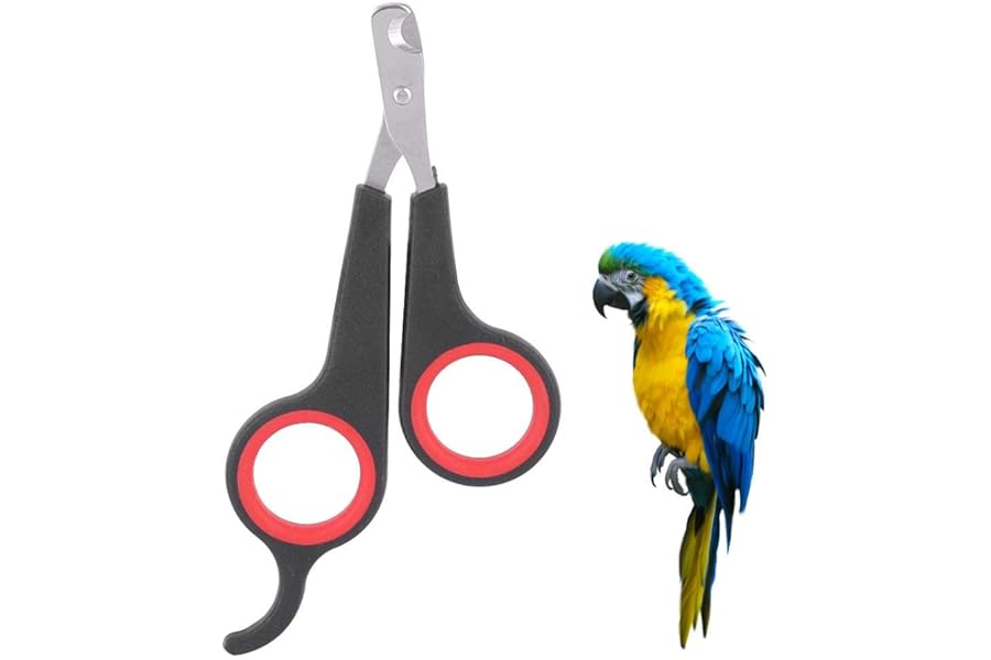 Bird Nail Clipper, Grooming Tool Parrot Nail Clippers Nail Scissors Clipper Pet Bird Parrot Small Animals Accessory for Small Parrot Birds