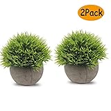 Gute Qualität - Blumen und Blätter sind aus Kunststoff, pflegeleicht. Kommt mit grauen Papierbrei-Töpfen, bitte stellen Sie die Töpfe nicht ins Wasser.